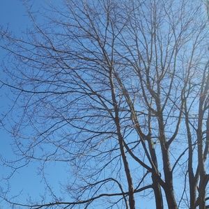 Meet your Posher, Teri